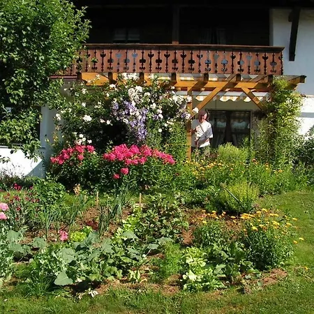 Barbara Hintermair Comfortable