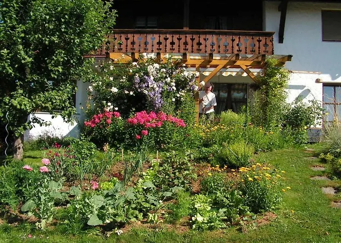 Barbara Hintermair Comfortable